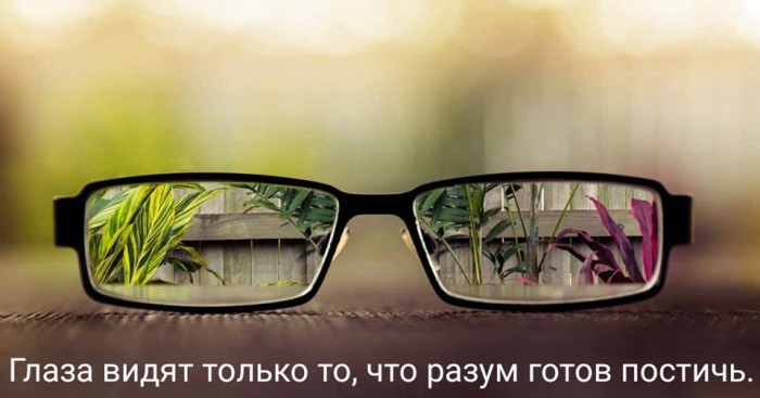 РАБОЧЕЕ МЕСТО В ПРИЧИНЕ ОБУЧЕНИЯ И ЦЕНТР ИЗУЧЕНИЯ ПРИЧИННО СЛЕДСТВЕННЫХ СВЯЗЕЙ